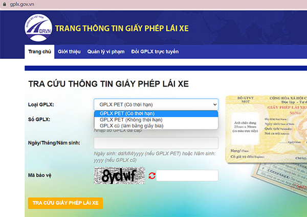 cách tra cứu giấy phép lái xe